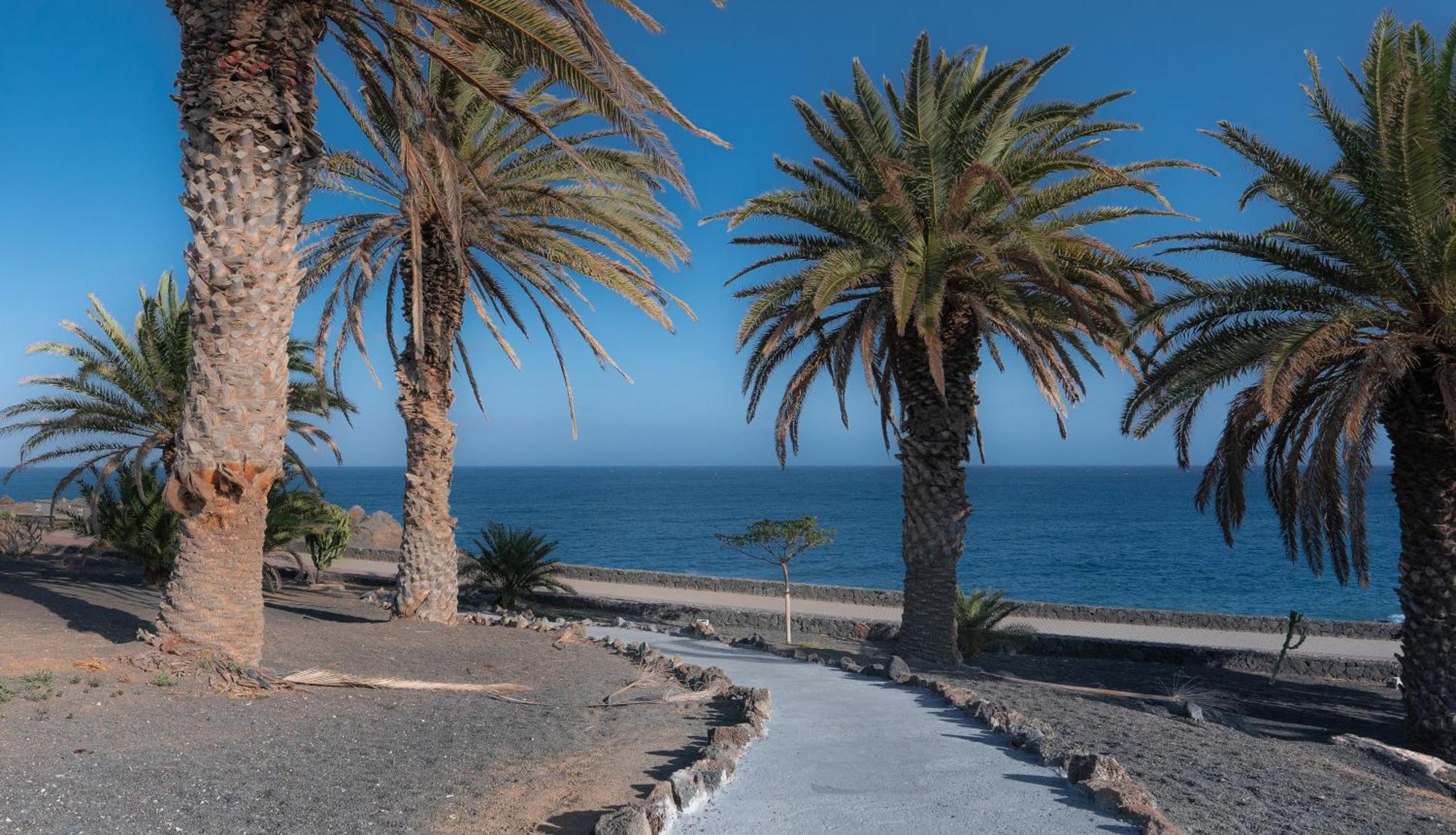 Luxury Apartamento Luz De Mar Complejo Playa Roca Costa Teguise Exterior photo